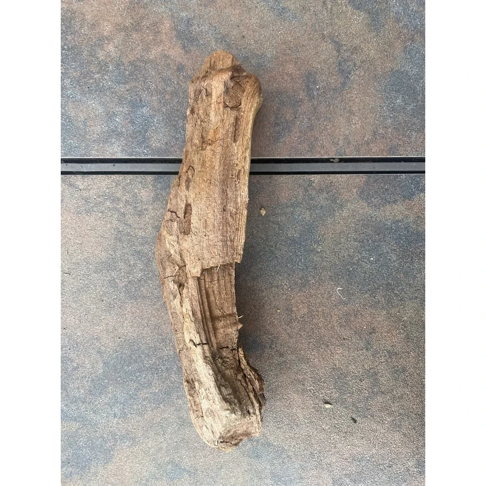 Natural Driftwood for Plants Terrarium Taxidermy Art Projects